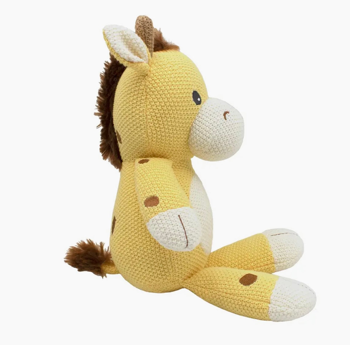 Noah the Giraffe
